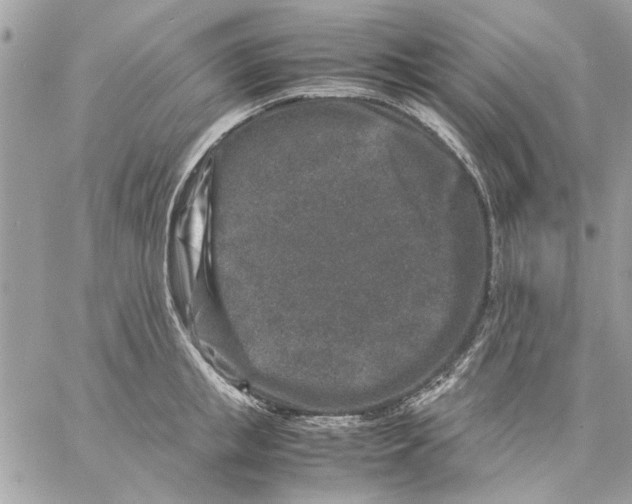 X0000057080853200510071843