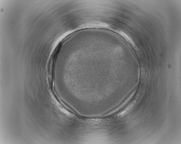 X0000057080854200510071843