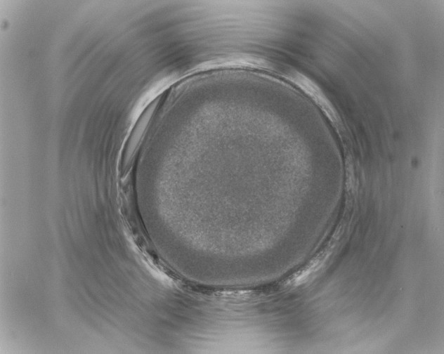 X0000057080858200510071843