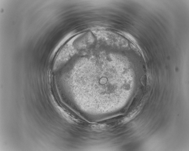 X0000057080859200510071843