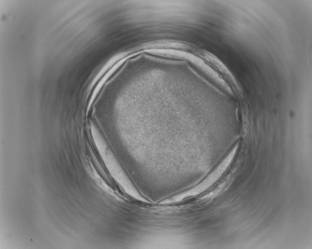 X0000057080860200510071843