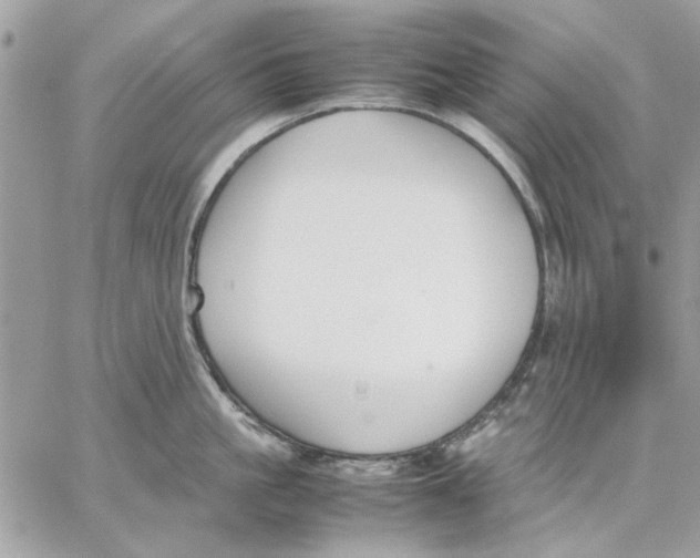 X0000057080861200510071843