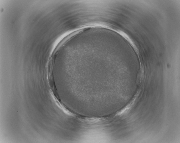 X0000057080862200510071843