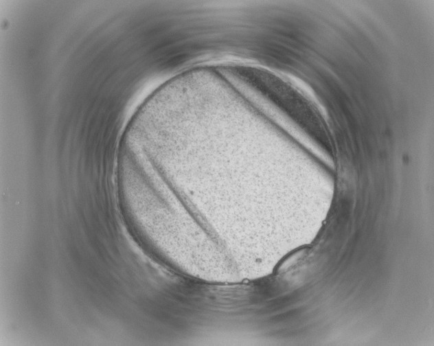 X0000057080863200510071843