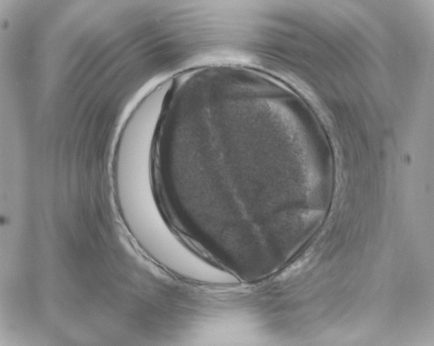 X0000057080864200510071843