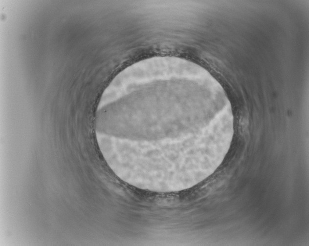 X0000057080865200510071843