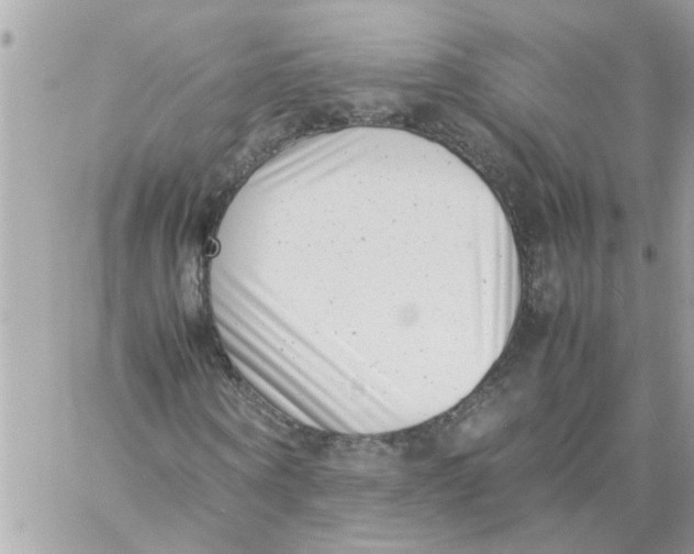 X0000057080866200510071843