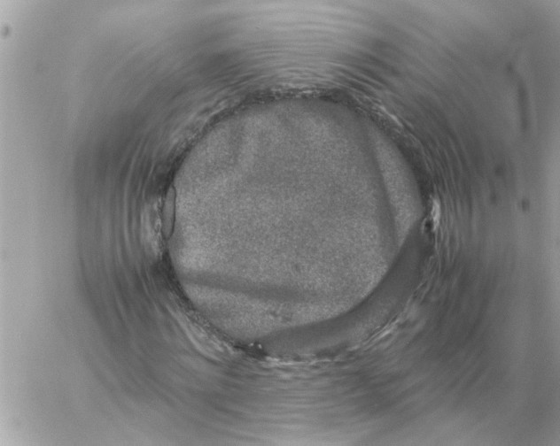 X0000057080868200510071842