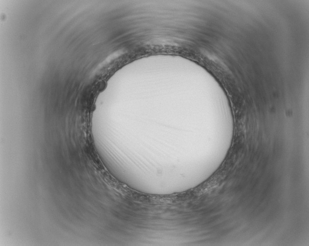 X0000057080870200510071842