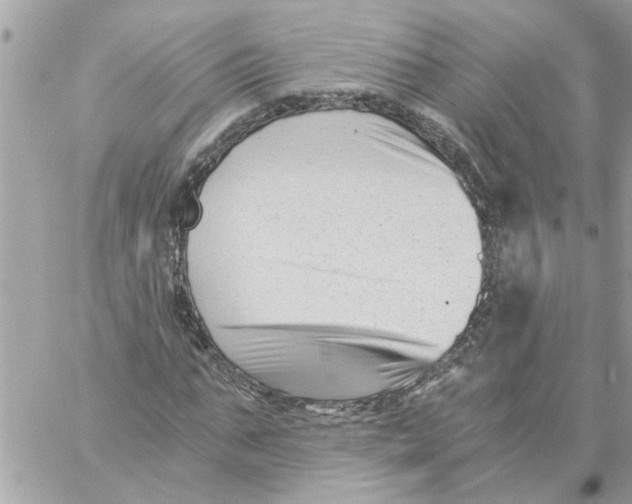 X0000057080871200510071842