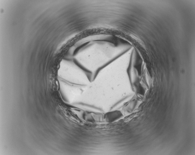 X0000057080872200510071842