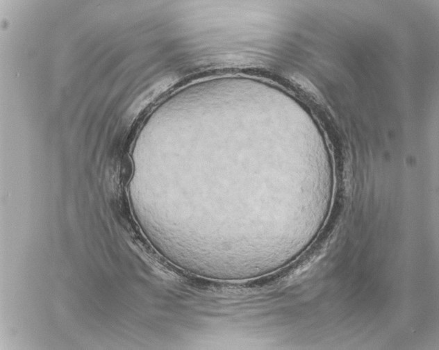 X0000057080873200510071842