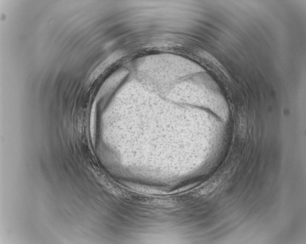 X0000057080874200510071842