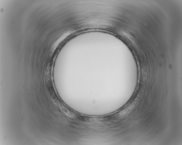 X0000057080875200510071842