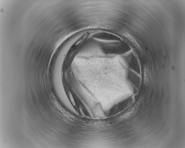 X0000057080876200510071842