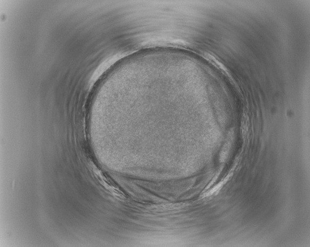 X0000057080877200510071842