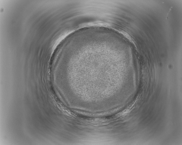 X0000057080879200510071842