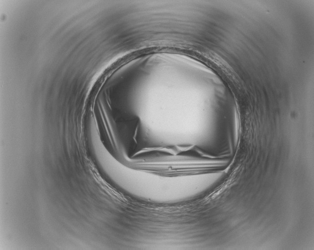 X0000057080880200510071842