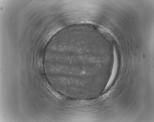 X0000057080881200510071842