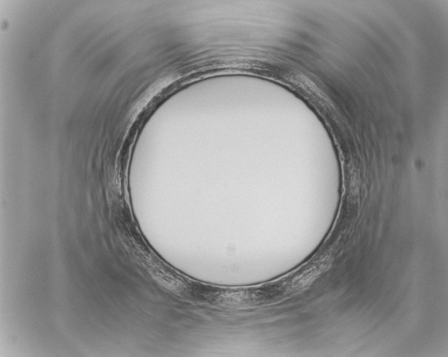 X0000057080883200510071842