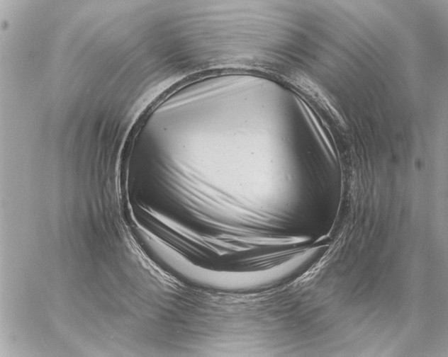 X0000057080884200510071842