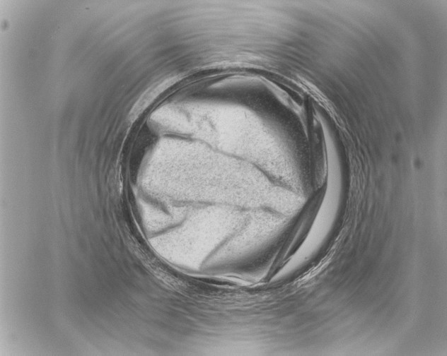 X0000057080885200510071842