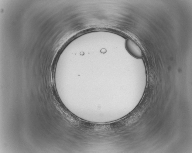 X0000057080887200510071842