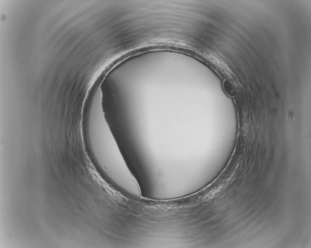 X0000057080888200510071842