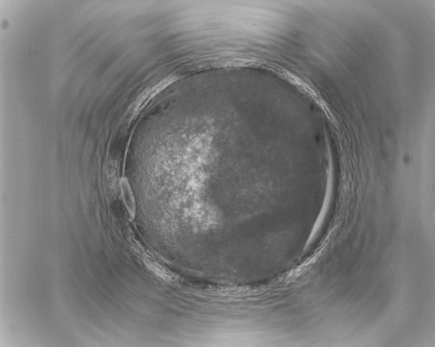 X0000057080889200510071842