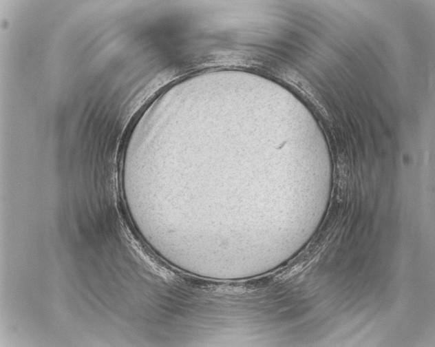 X0000057080890200510071842