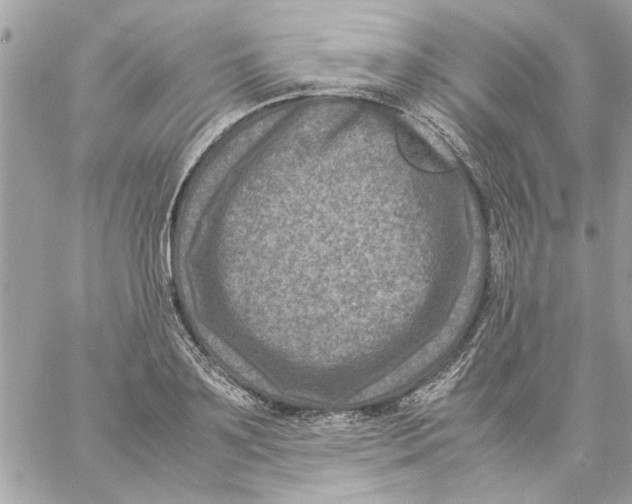 X0000057080891200510071842