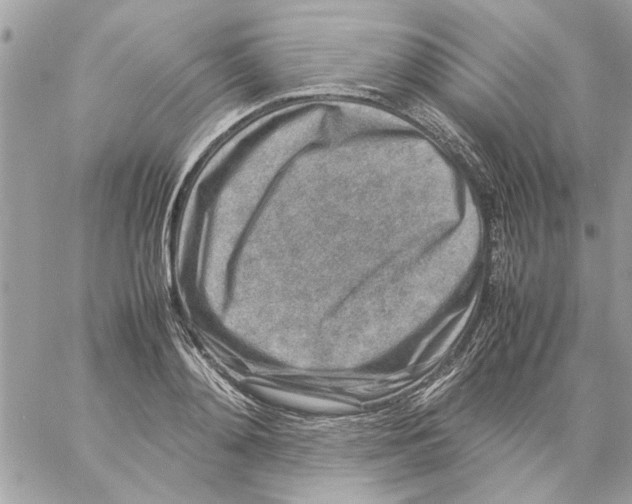 X0000057080892200510071842