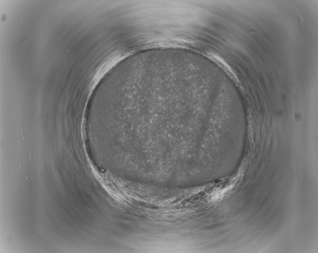 X0000057080893200510071842