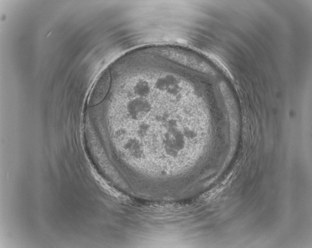 X0000057080895200510071842