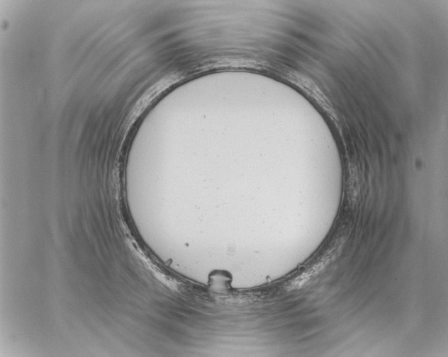 X0000057080898200510071842