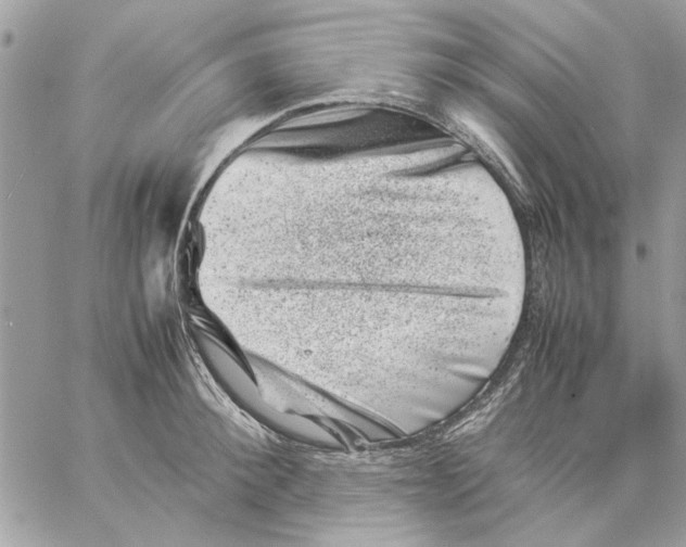 X0000057080900200510071842