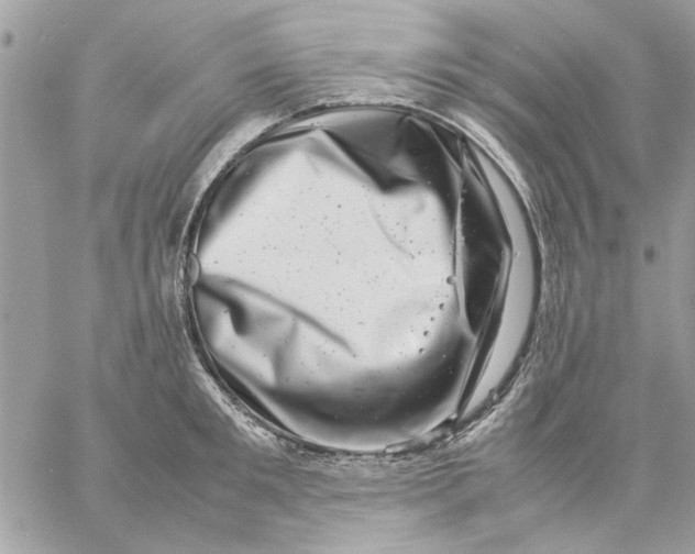 X0000057080901200510071842