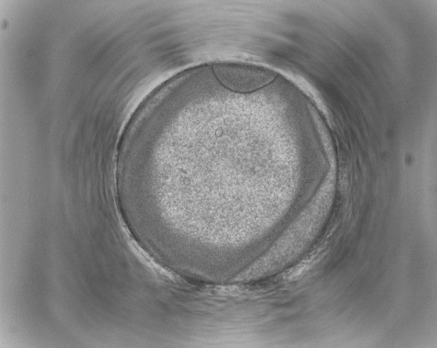 X0000057080903200510071842