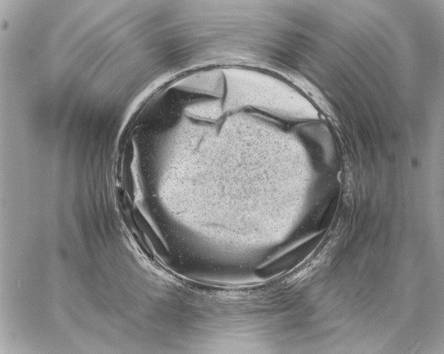 X0000057080904200510071842