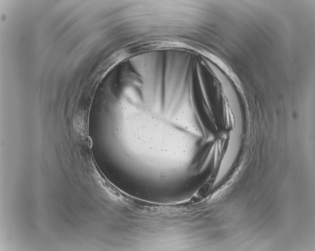 X0000057080905200510071842