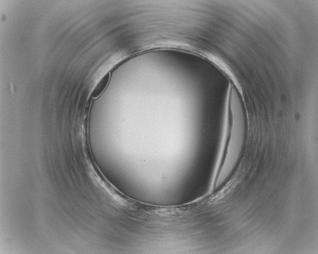 X0000057080906200510071842