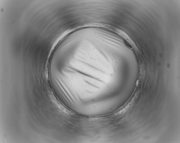 X0000057080908200510071842