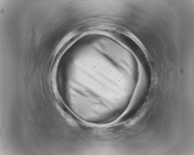 X0000057080909200510071842