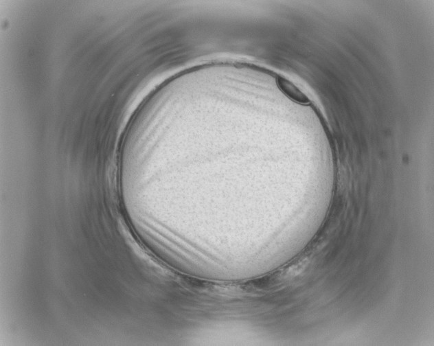 X0000057080911200510071842