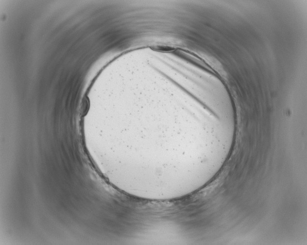 X0000057080912200510071842