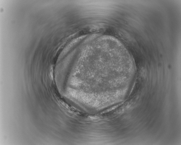 X0000057080914200510071841