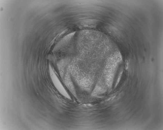 X0000057080915200510071841