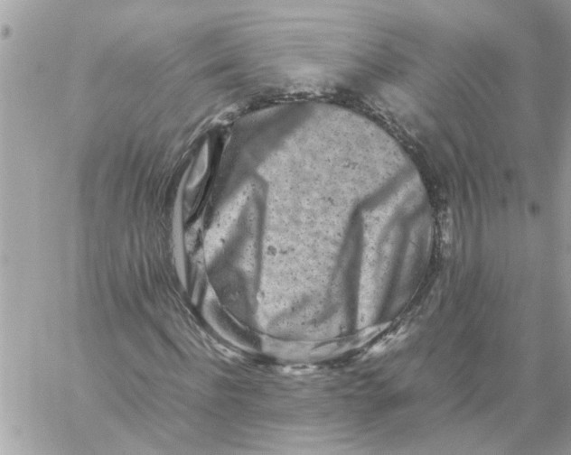 X0000057080916200510071841