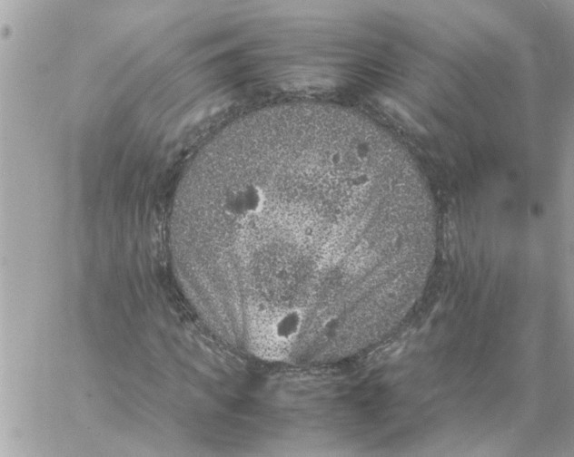 X0000057080917200510071841