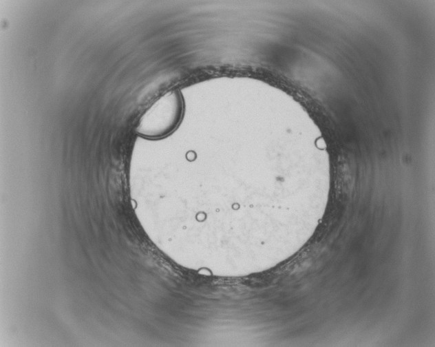 X0000057080918200510071841